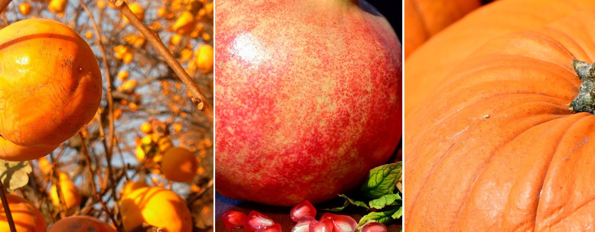 Frutta e verdura di Ottobre | La spesa di stagione